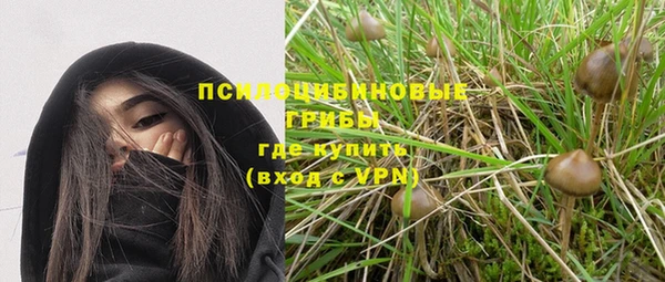 a pvp Алзамай