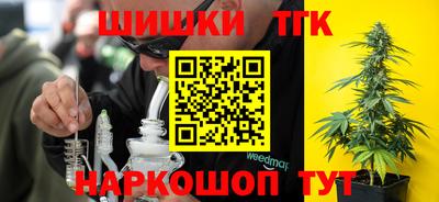крисы Тулун