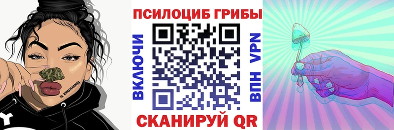 Псилоцибиновые грибы Cubensis Махачкала