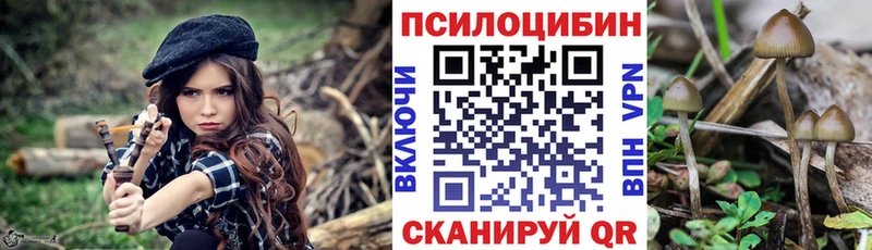 Галлюциногенные грибы мицелий  МЕГА ссылки  Махачкала 