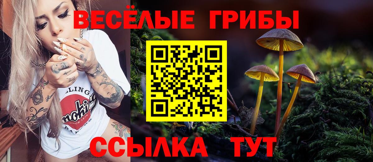 Галлюциногенные грибы мицелий  Вход с VPN  Махачкала  Псилоцибиновые грибы ЛСД 