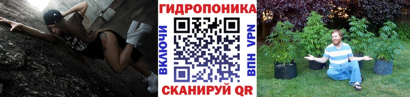 Марихуана VHQ  сколько стоит  Махачкала 