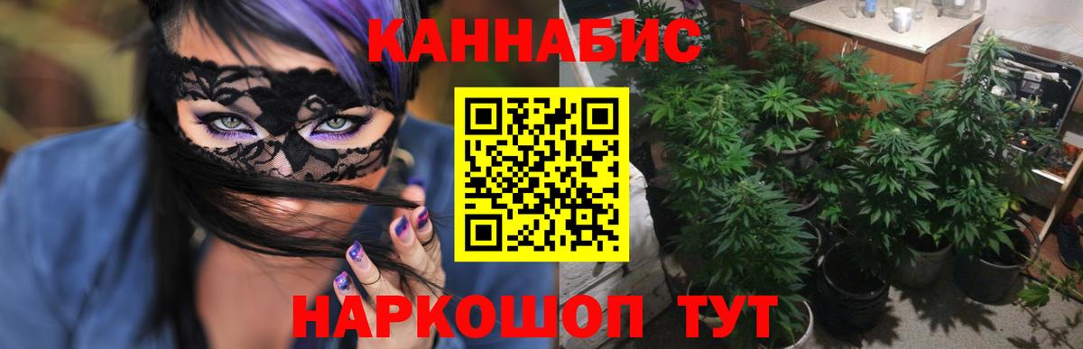 Марихуана гибрид Махачкала